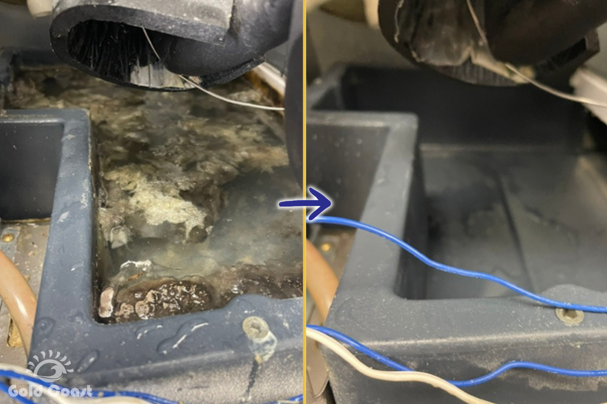 Before and after comparison of a commercial ice machine water sump: thick mineral and biological buildup on the left, clean on the right